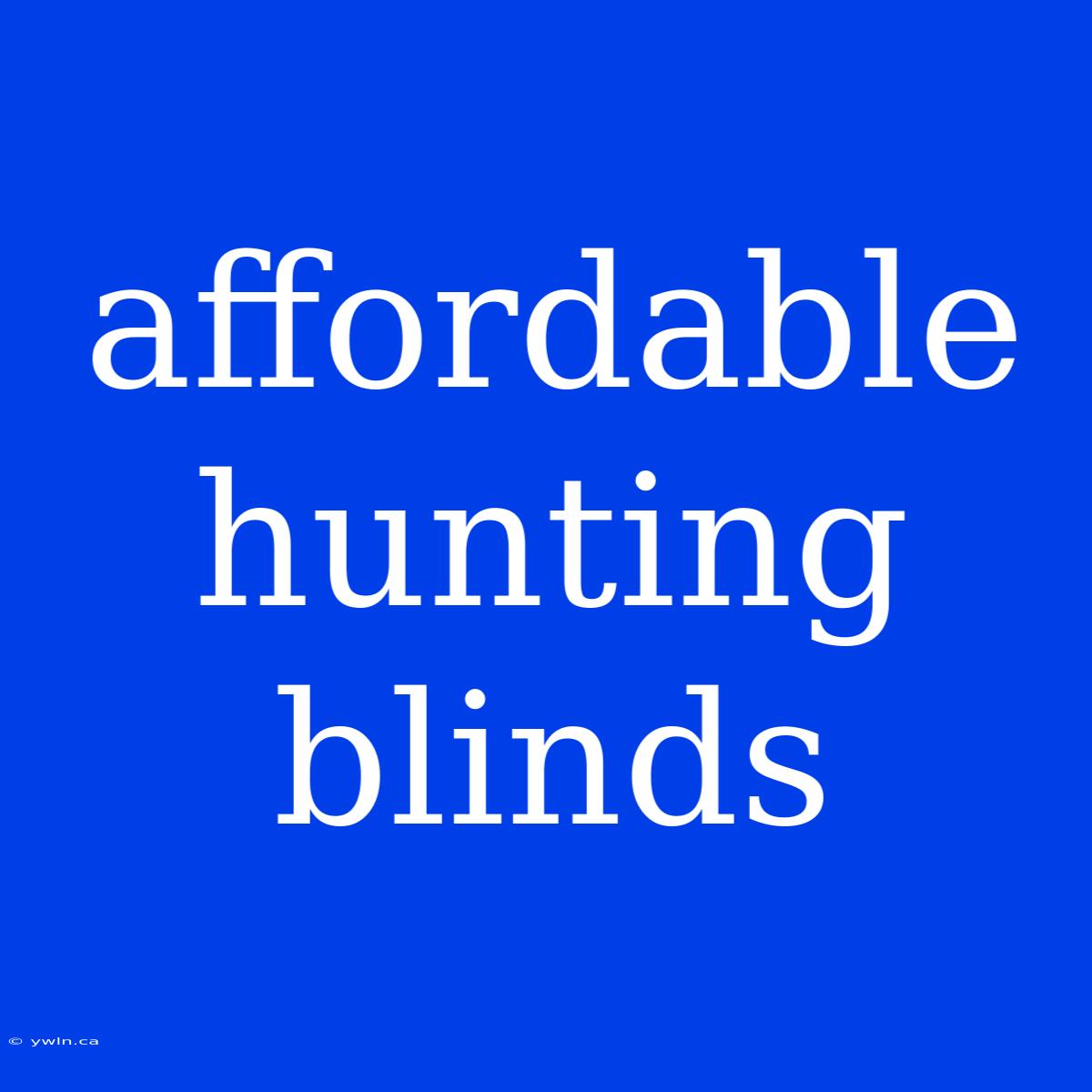 Affordable Hunting Blinds