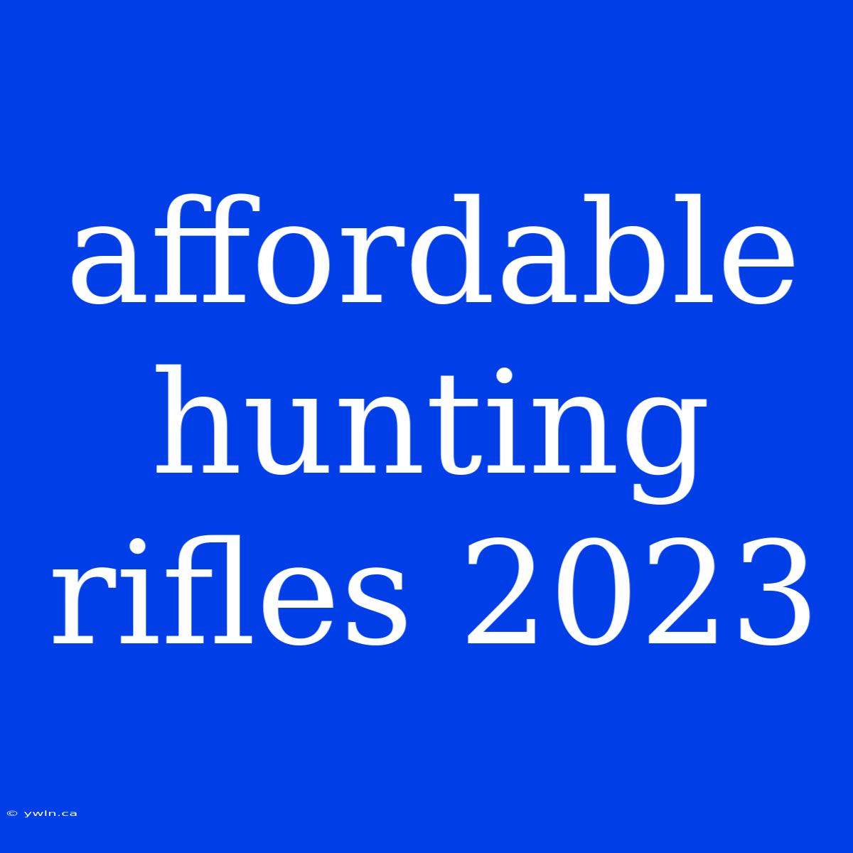 Affordable Hunting Rifles 2023