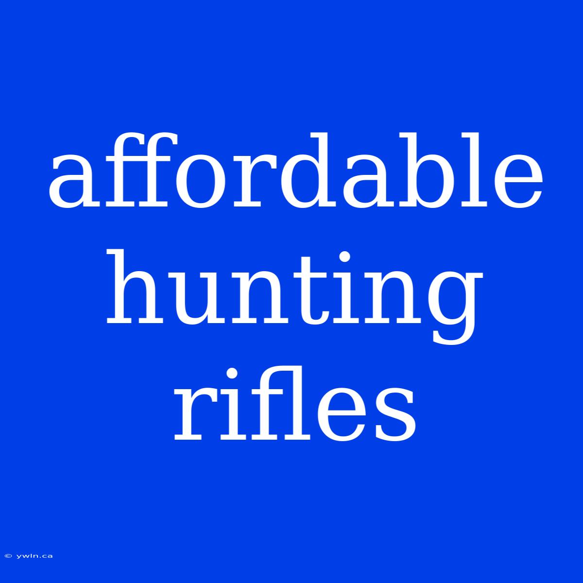 Affordable Hunting Rifles