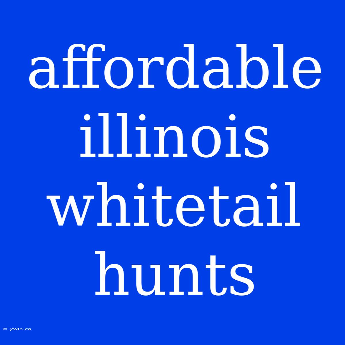 Affordable Illinois Whitetail Hunts