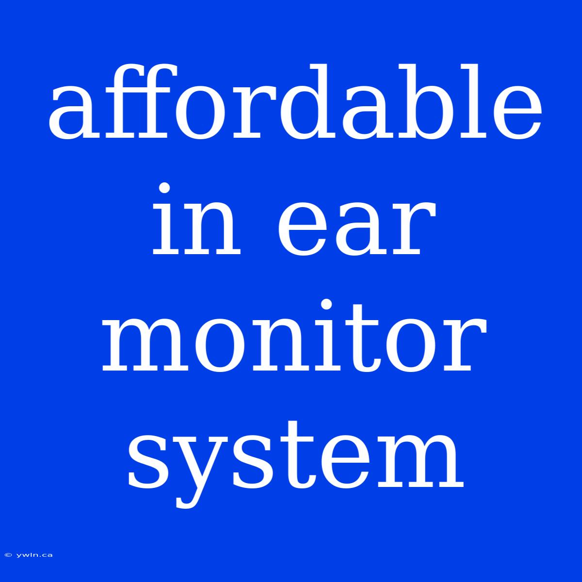 Affordable In Ear Monitor System