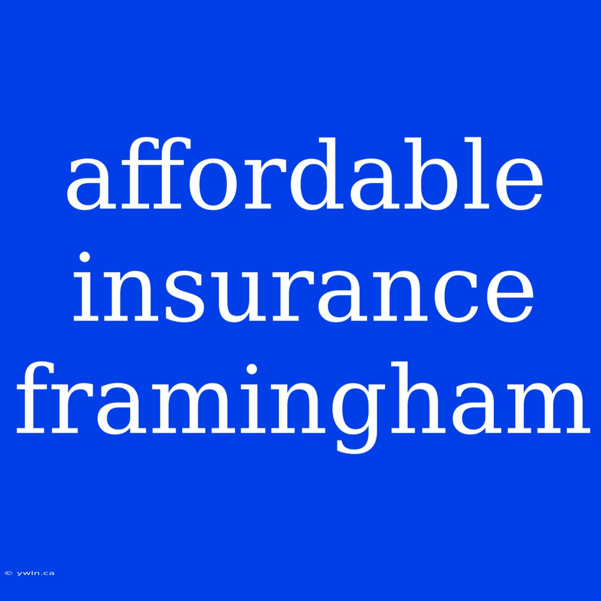 Affordable Insurance Framingham