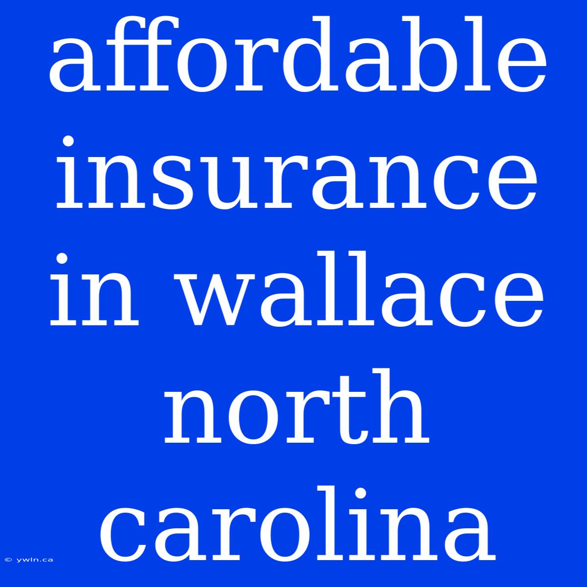 Affordable Insurance In Wallace North Carolina