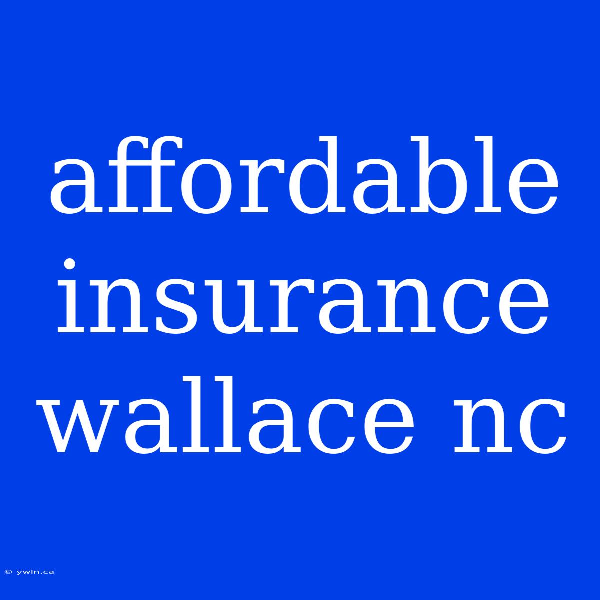 Affordable Insurance Wallace Nc