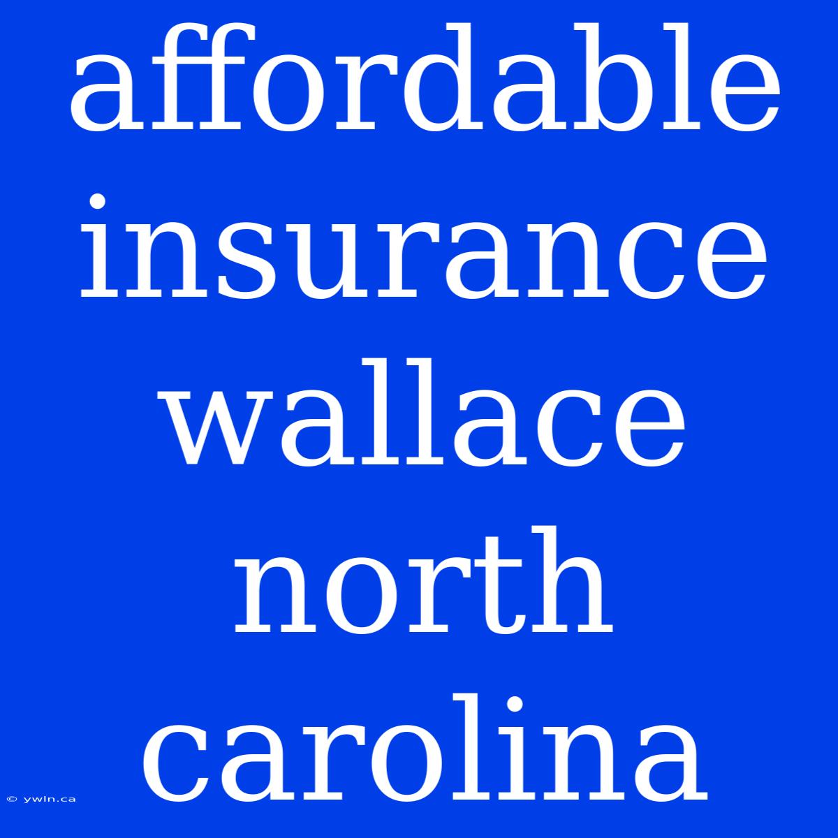 Affordable Insurance Wallace North Carolina