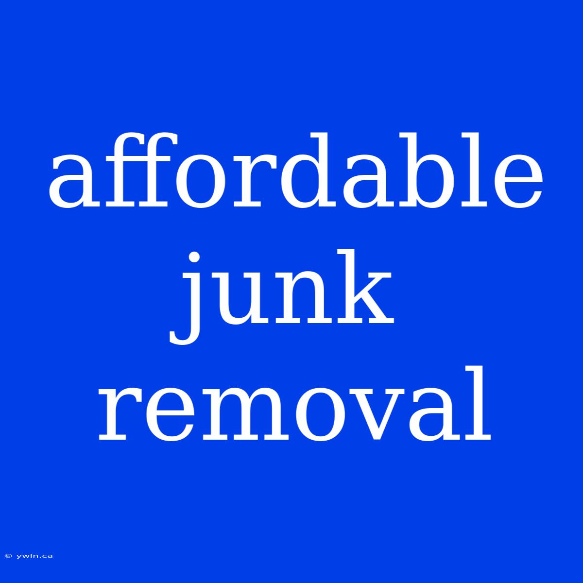 Affordable Junk Removal