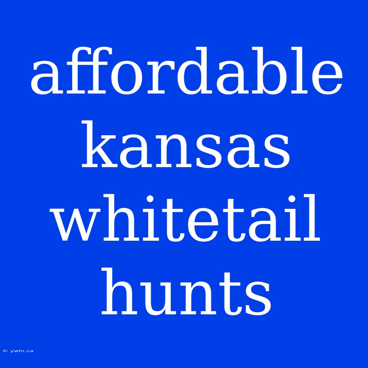 Affordable Kansas Whitetail Hunts