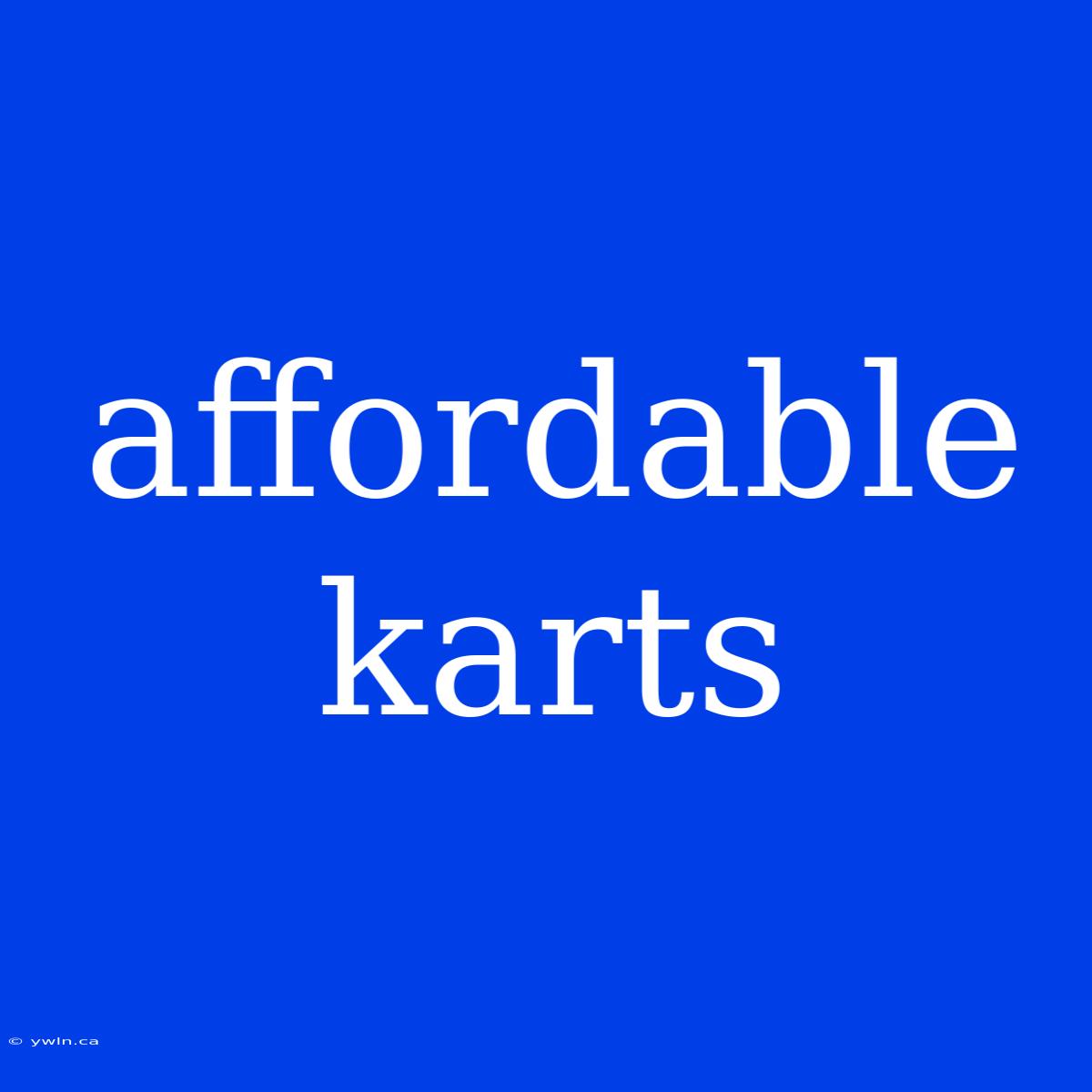 Affordable Karts