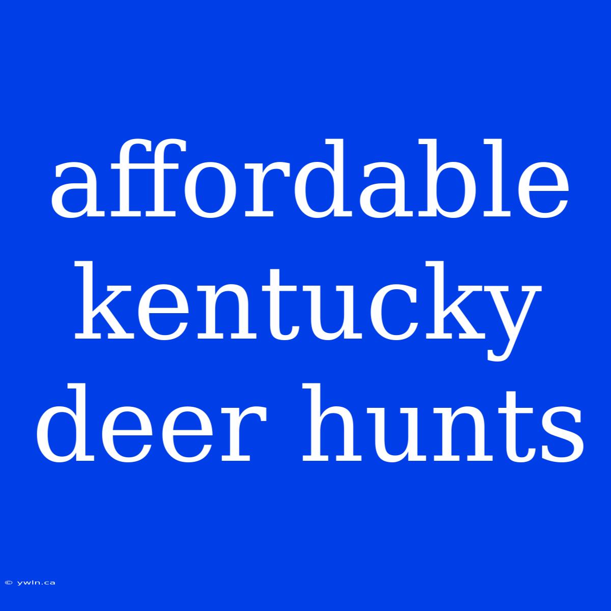 Affordable Kentucky Deer Hunts