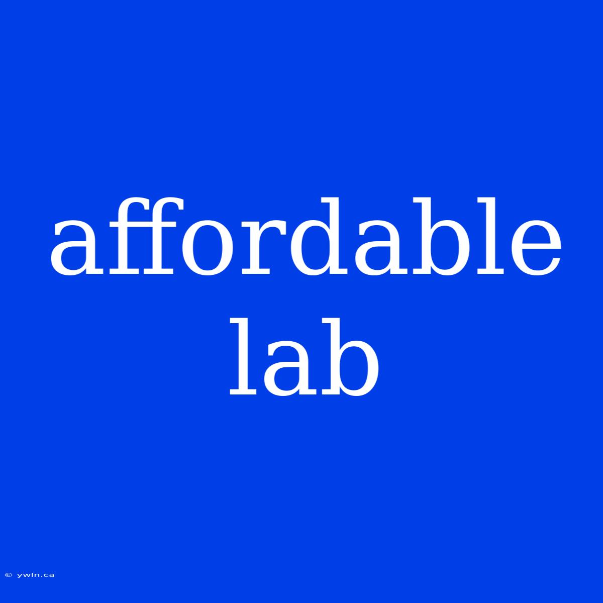 Affordable Lab