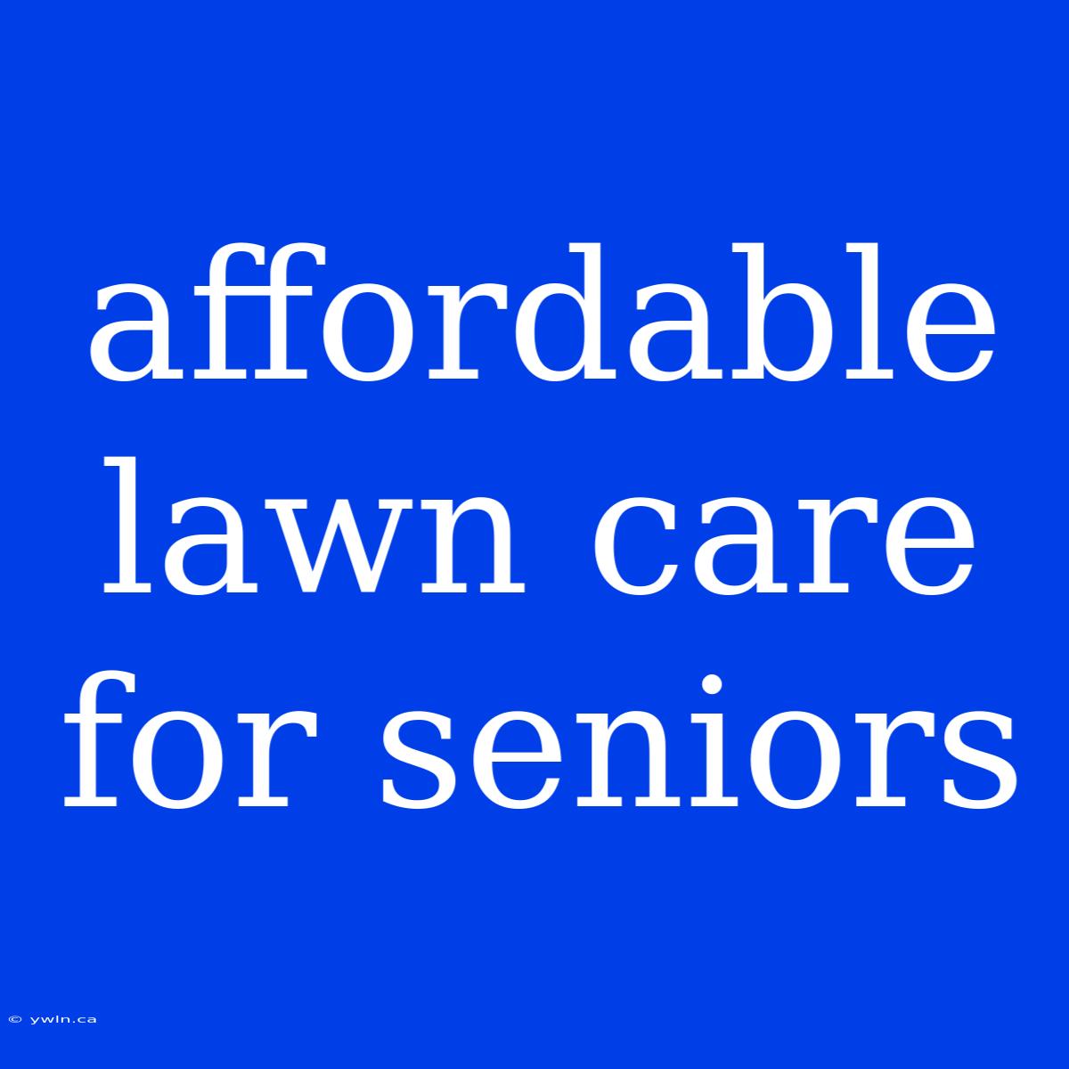 Affordable Lawn Care For Seniors