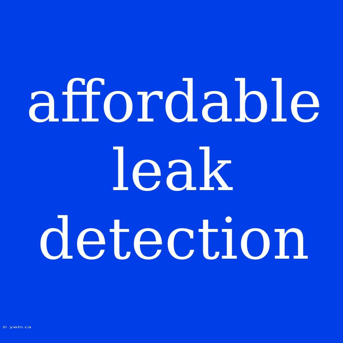 Affordable Leak Detection