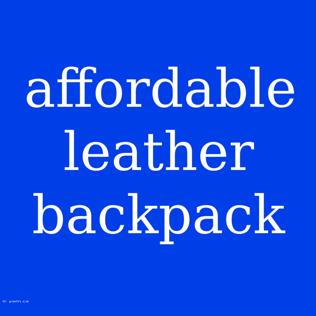 Affordable Leather Backpack