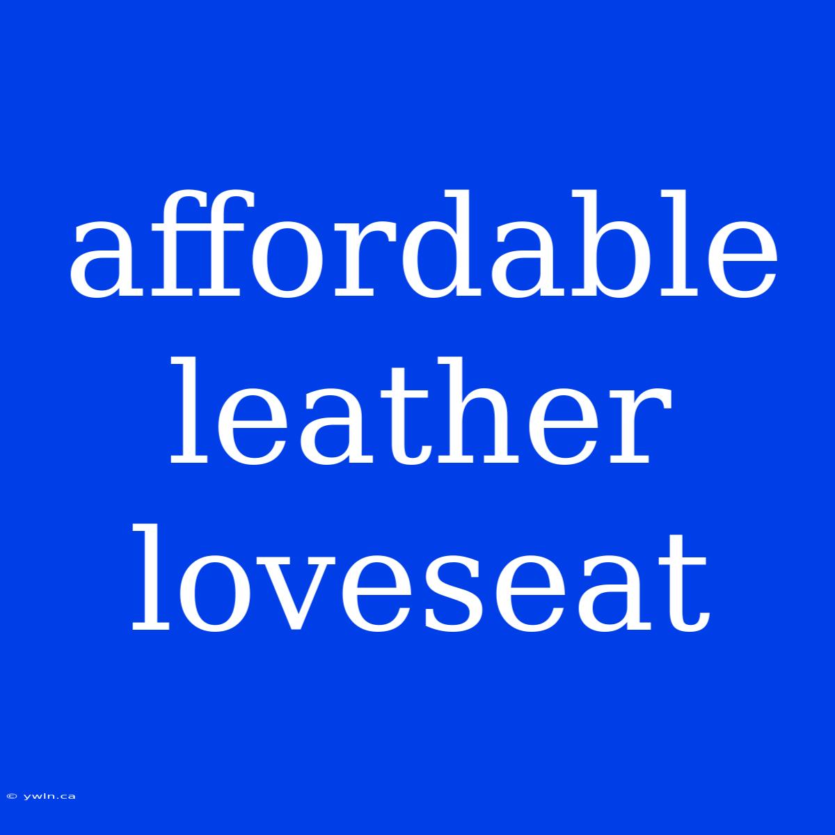 Affordable Leather Loveseat