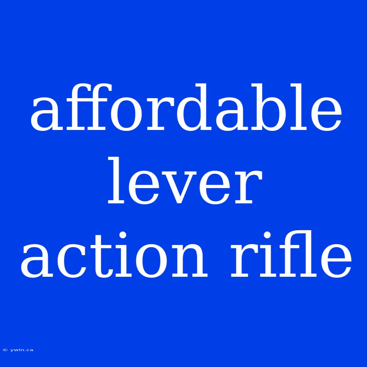 Affordable Lever Action Rifle