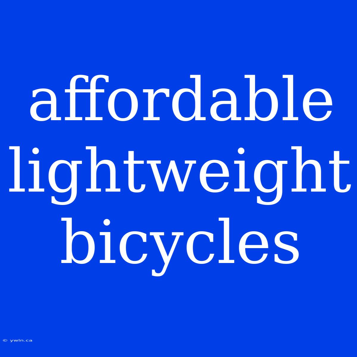 Affordable Lightweight Bicycles