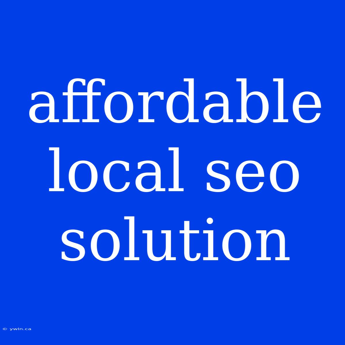 Affordable Local Seo Solution