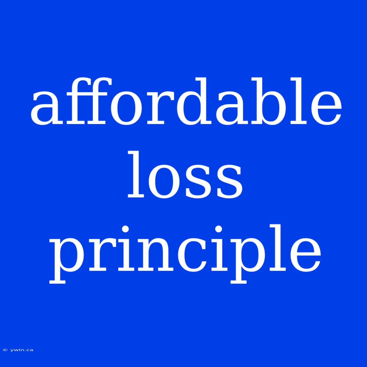 Affordable Loss Principle