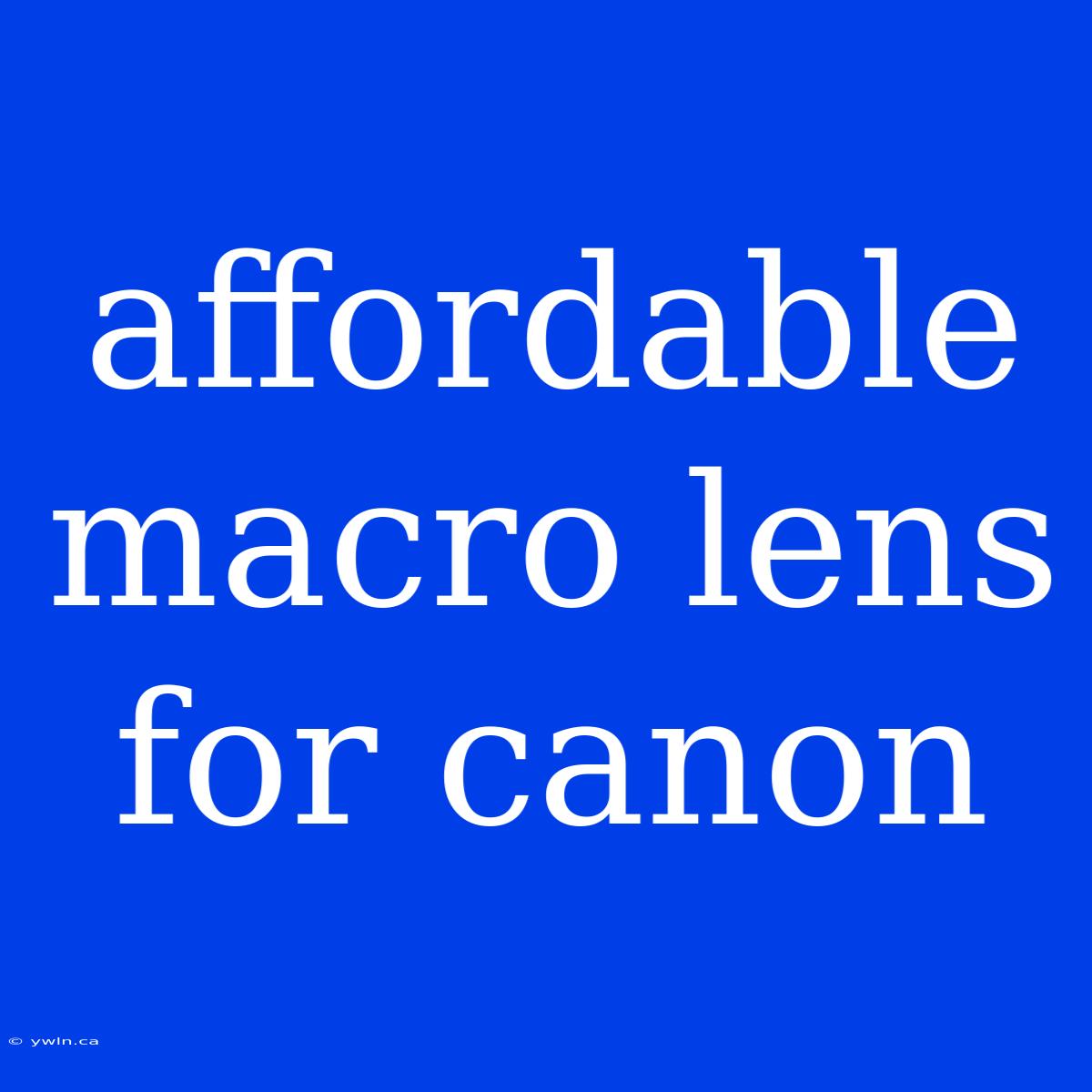 Affordable Macro Lens For Canon