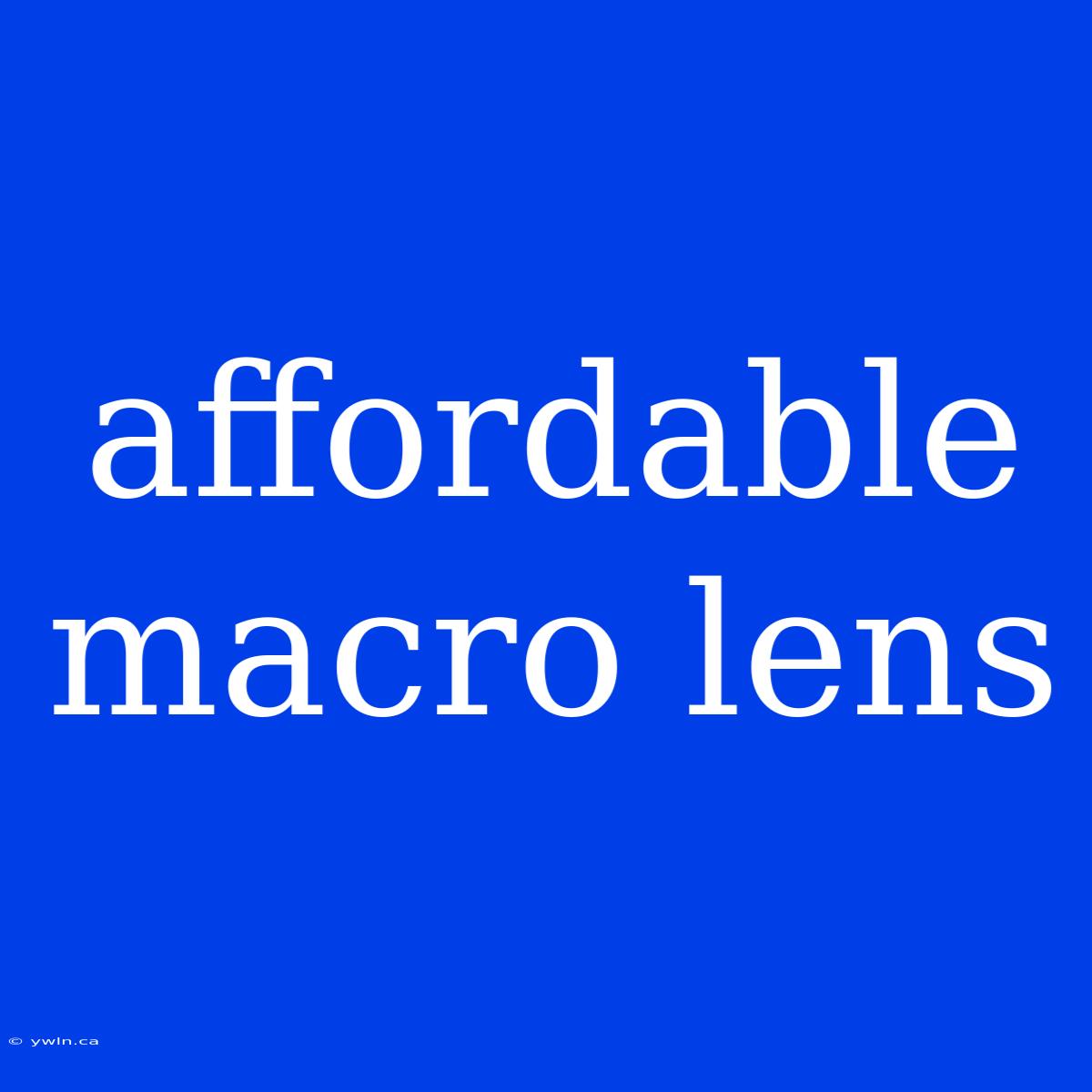 Affordable Macro Lens