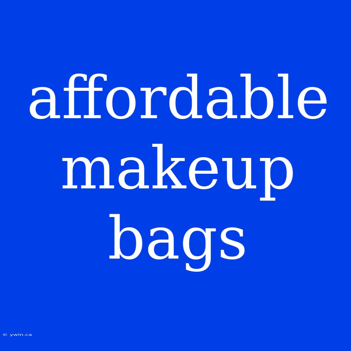 Affordable Makeup Bags