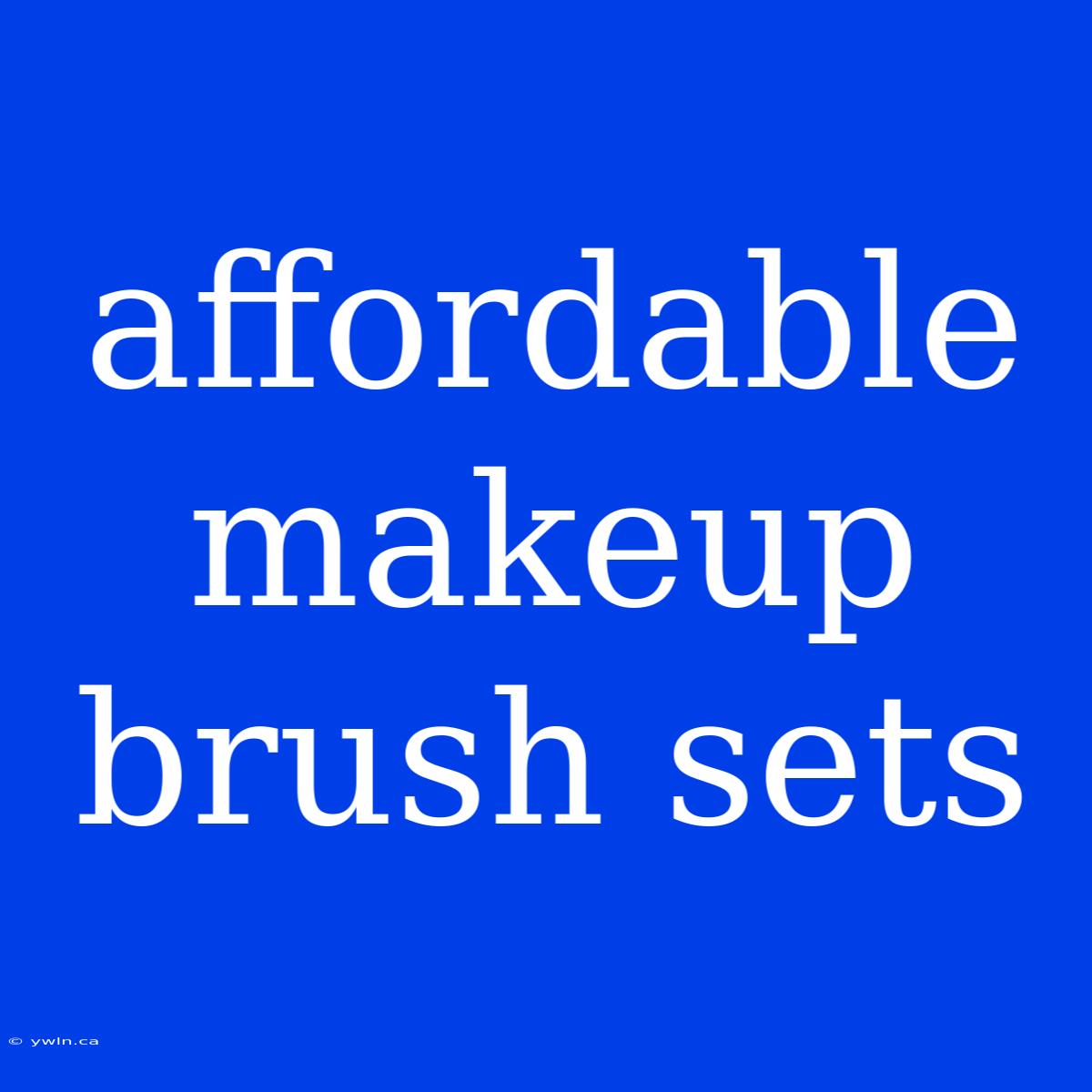 Affordable Makeup Brush Sets