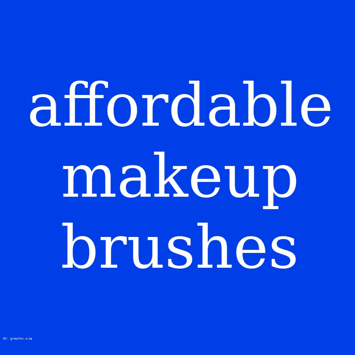 Affordable Makeup Brushes