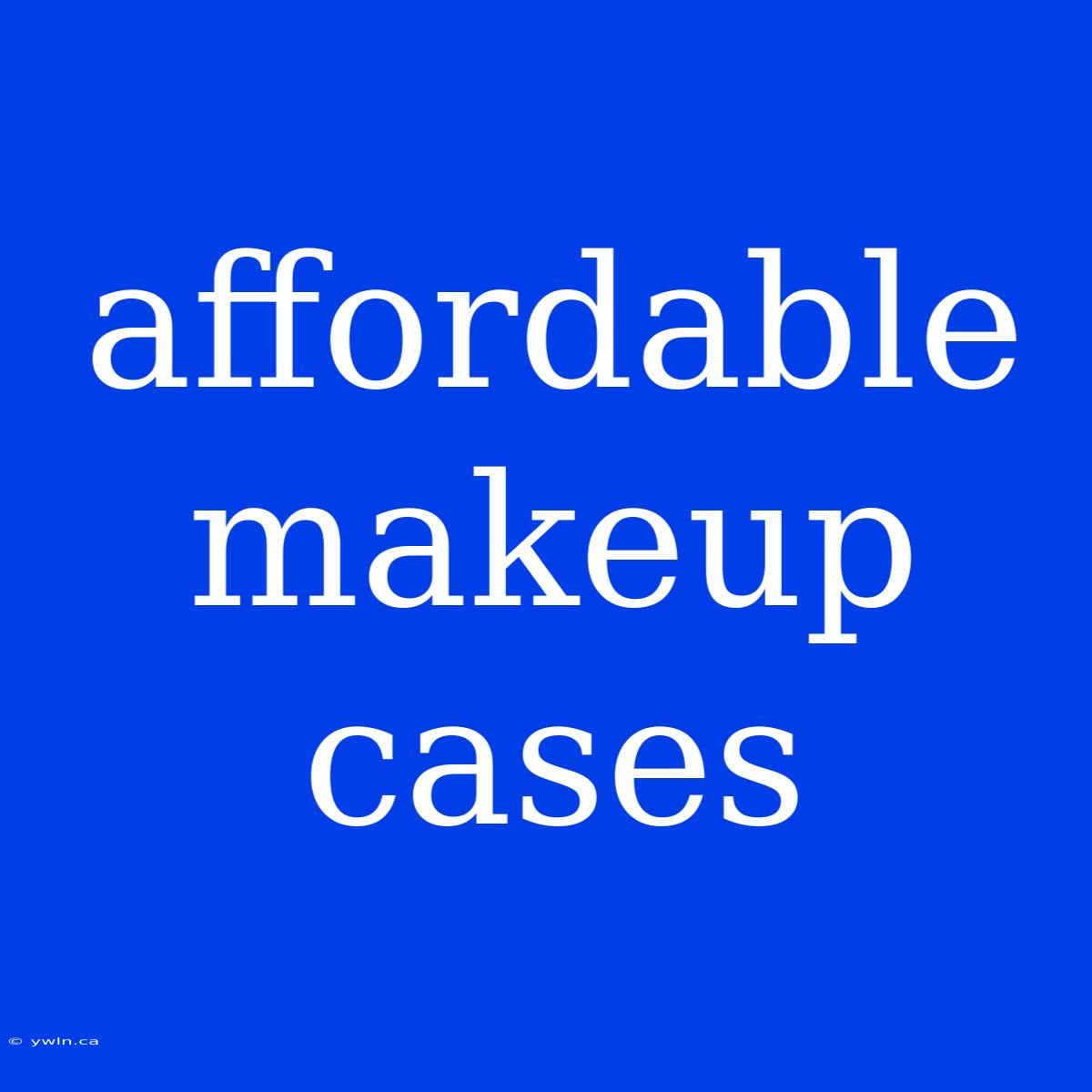 Affordable Makeup Cases