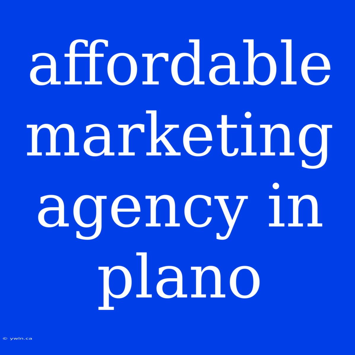 Affordable Marketing Agency In Plano