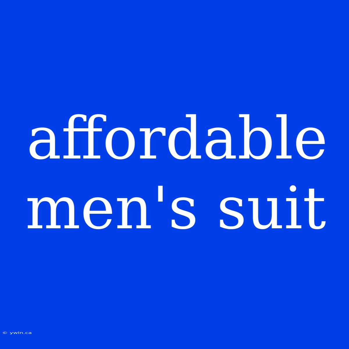 Affordable Men's Suit