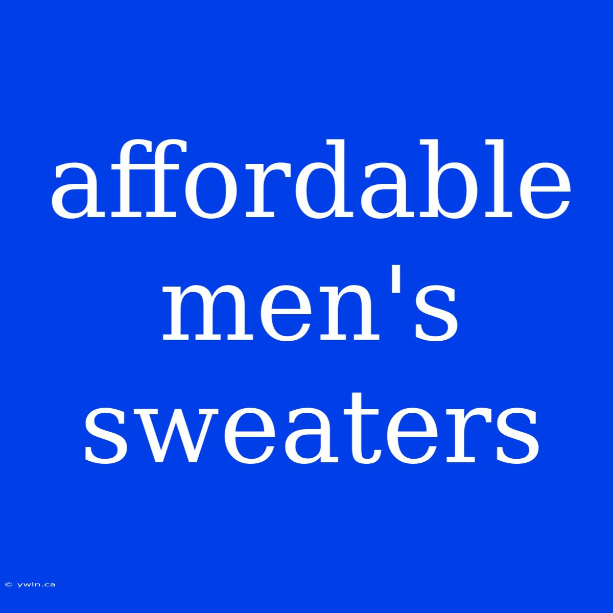 Affordable Men's Sweaters