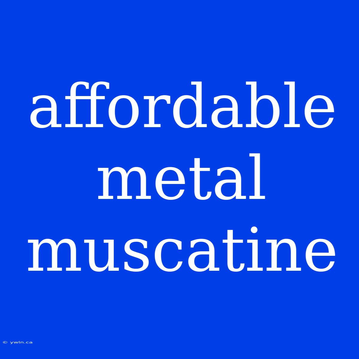 Affordable Metal Muscatine