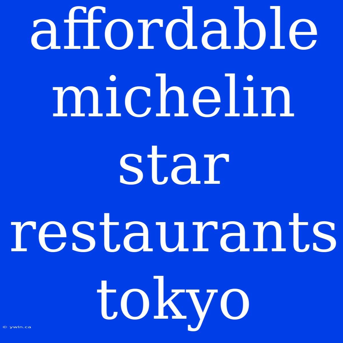 Affordable Michelin Star Restaurants Tokyo