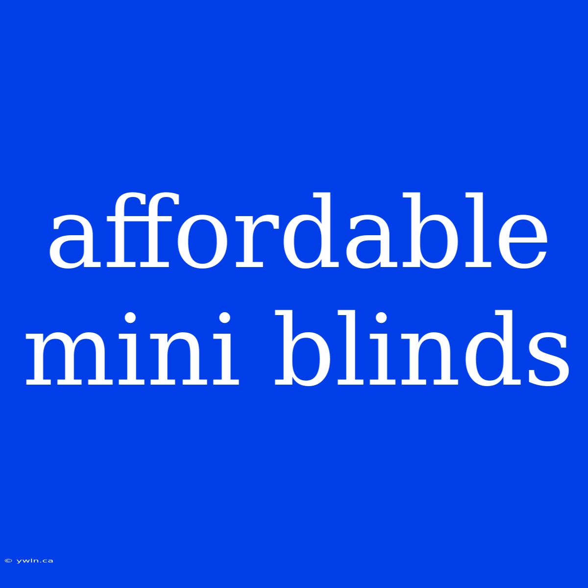 Affordable Mini Blinds