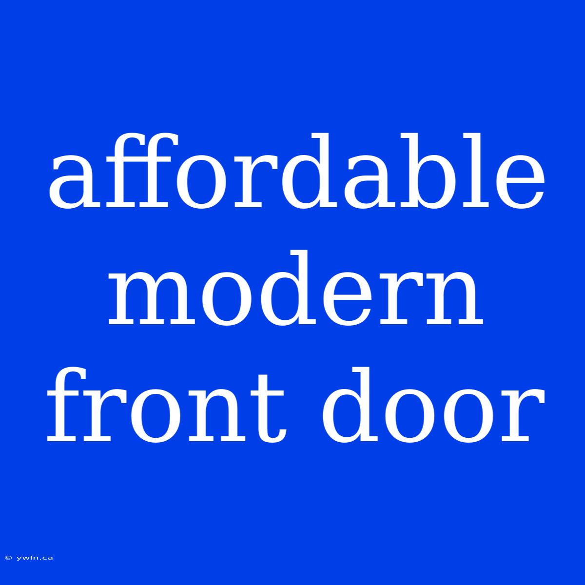 Affordable Modern Front Door