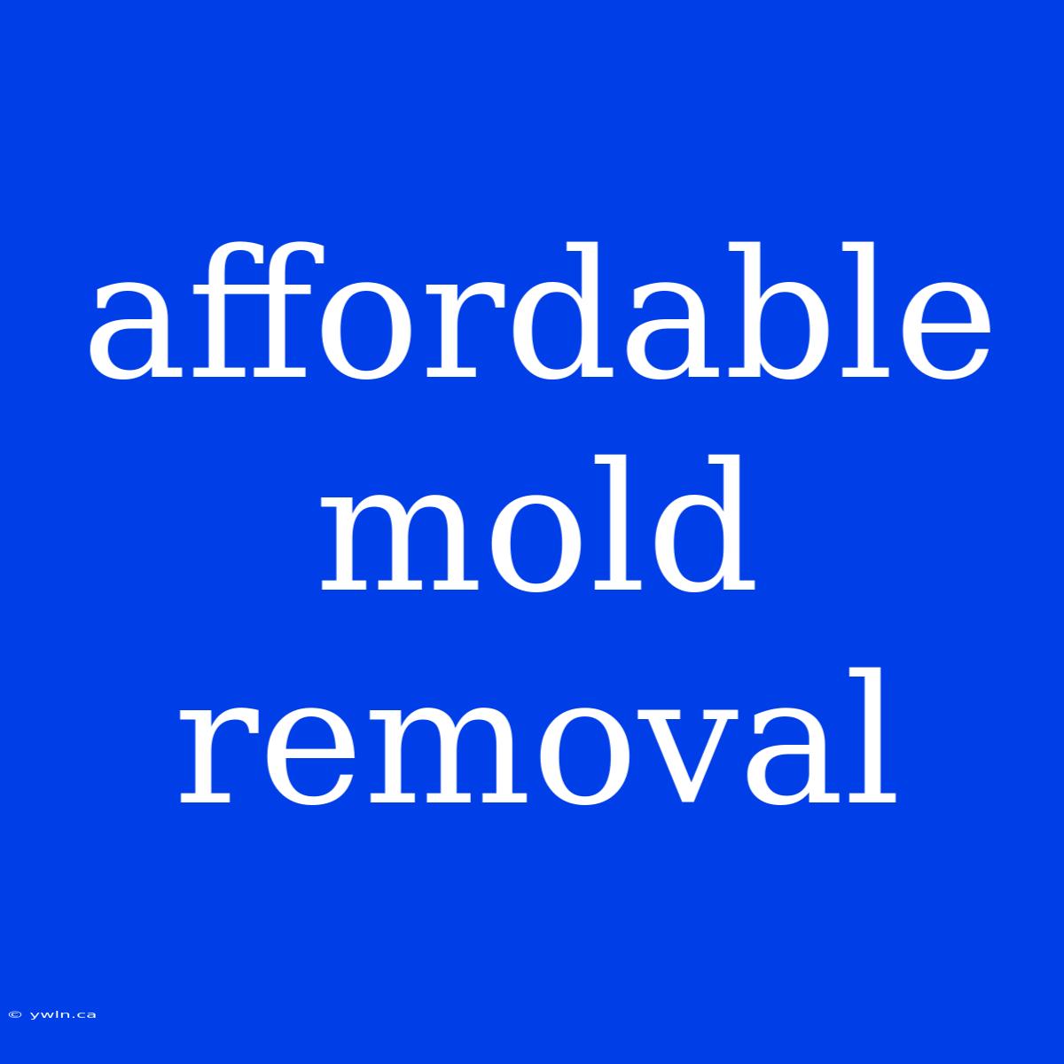 Affordable Mold Removal