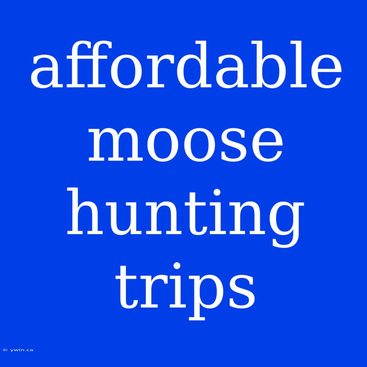 Affordable Moose Hunting Trips