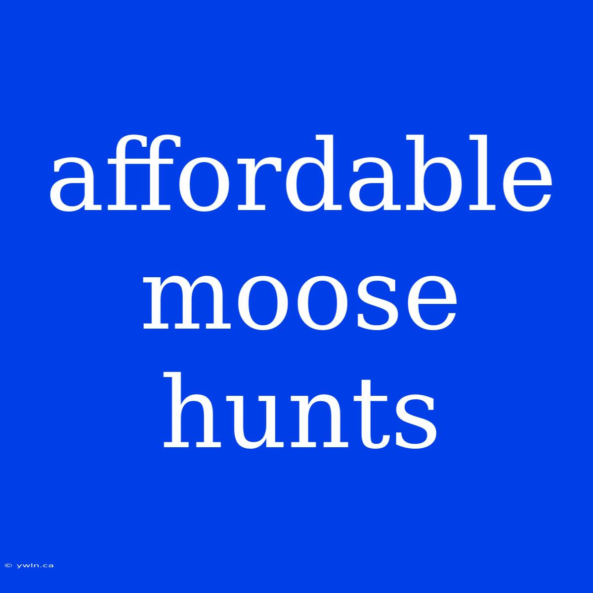 Affordable Moose Hunts