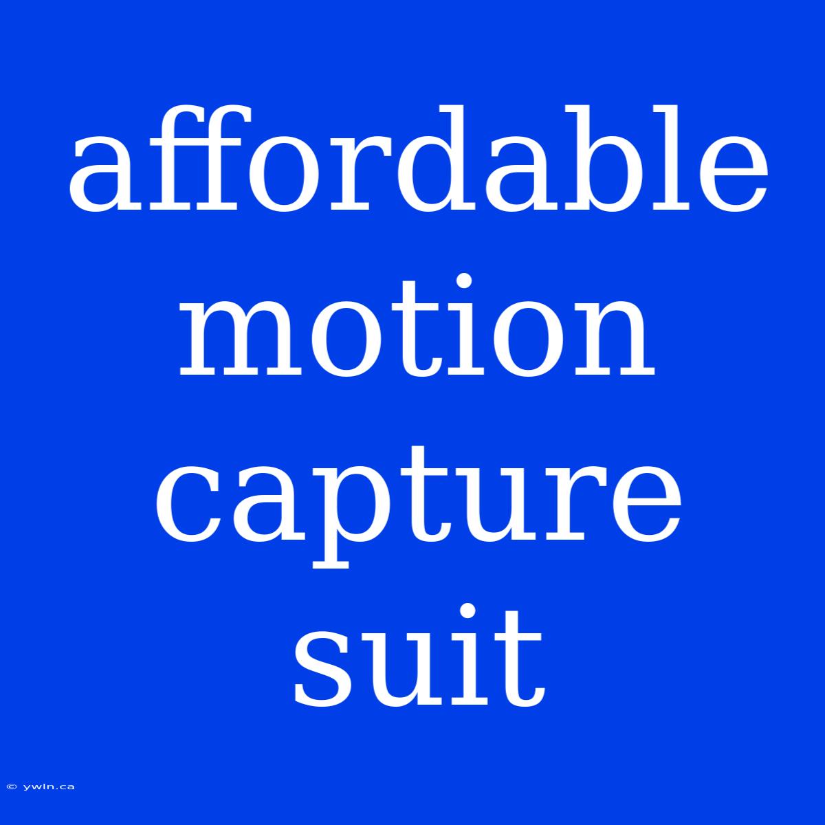 Affordable Motion Capture Suit