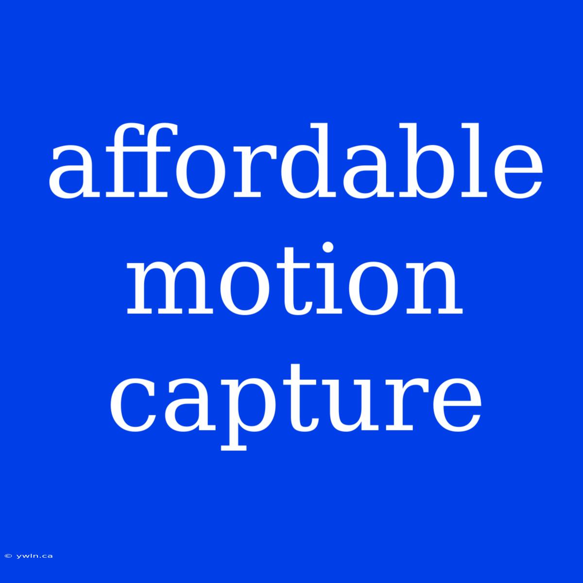 Affordable Motion Capture