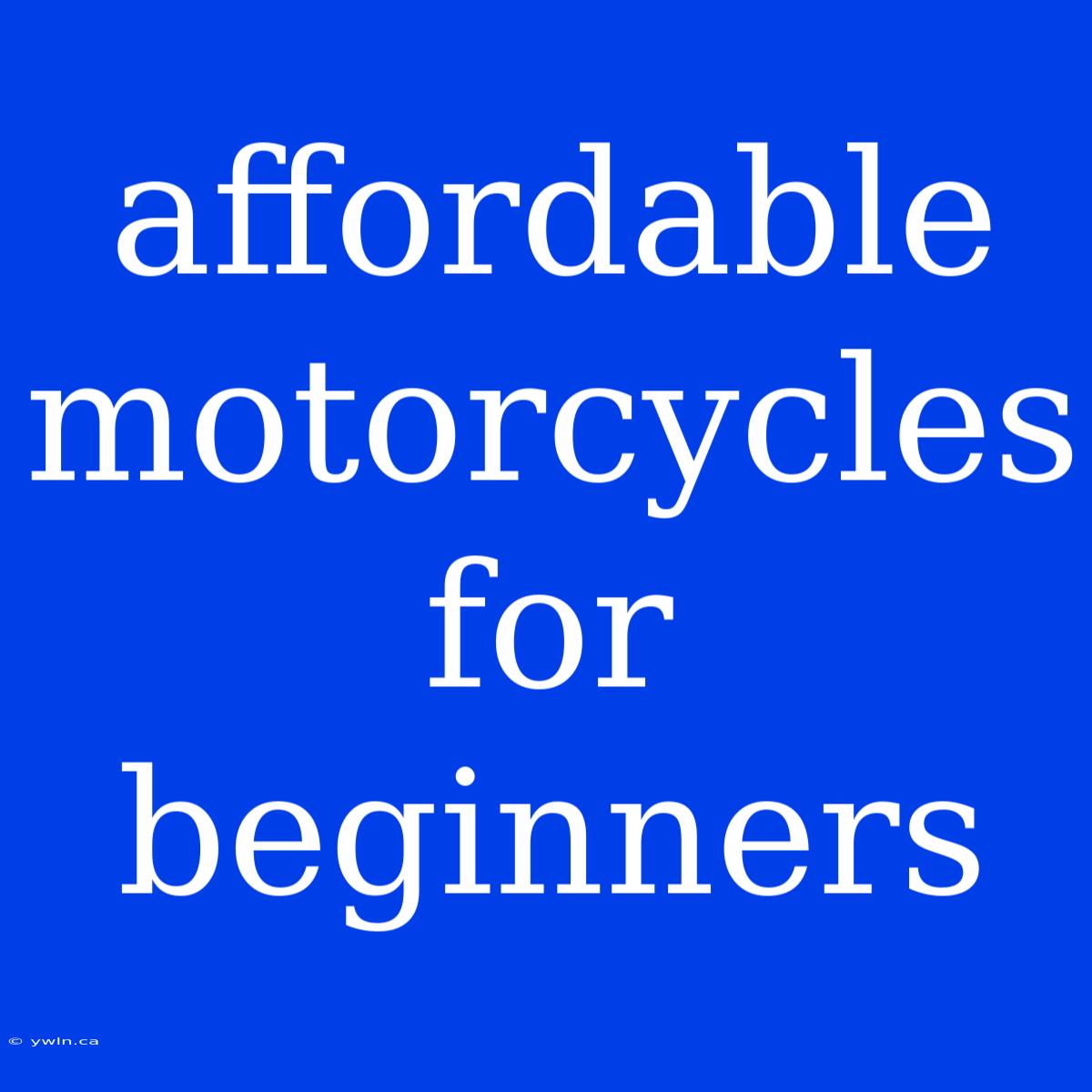 Affordable Motorcycles For Beginners