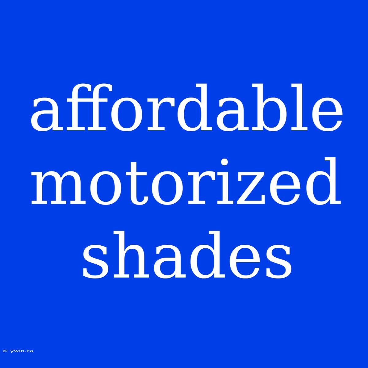 Affordable Motorized Shades