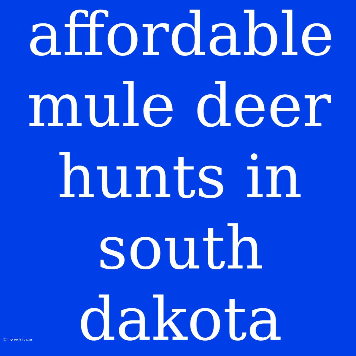 Affordable Mule Deer Hunts In South Dakota