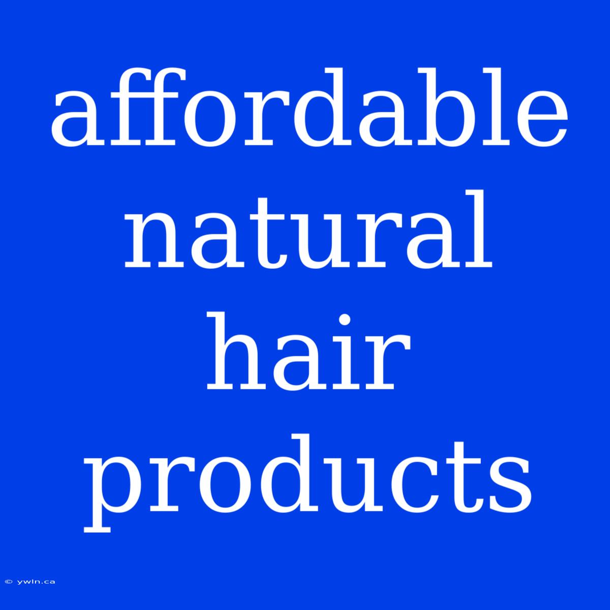 Affordable Natural Hair Products