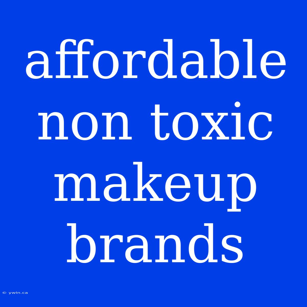 Affordable Non Toxic Makeup Brands