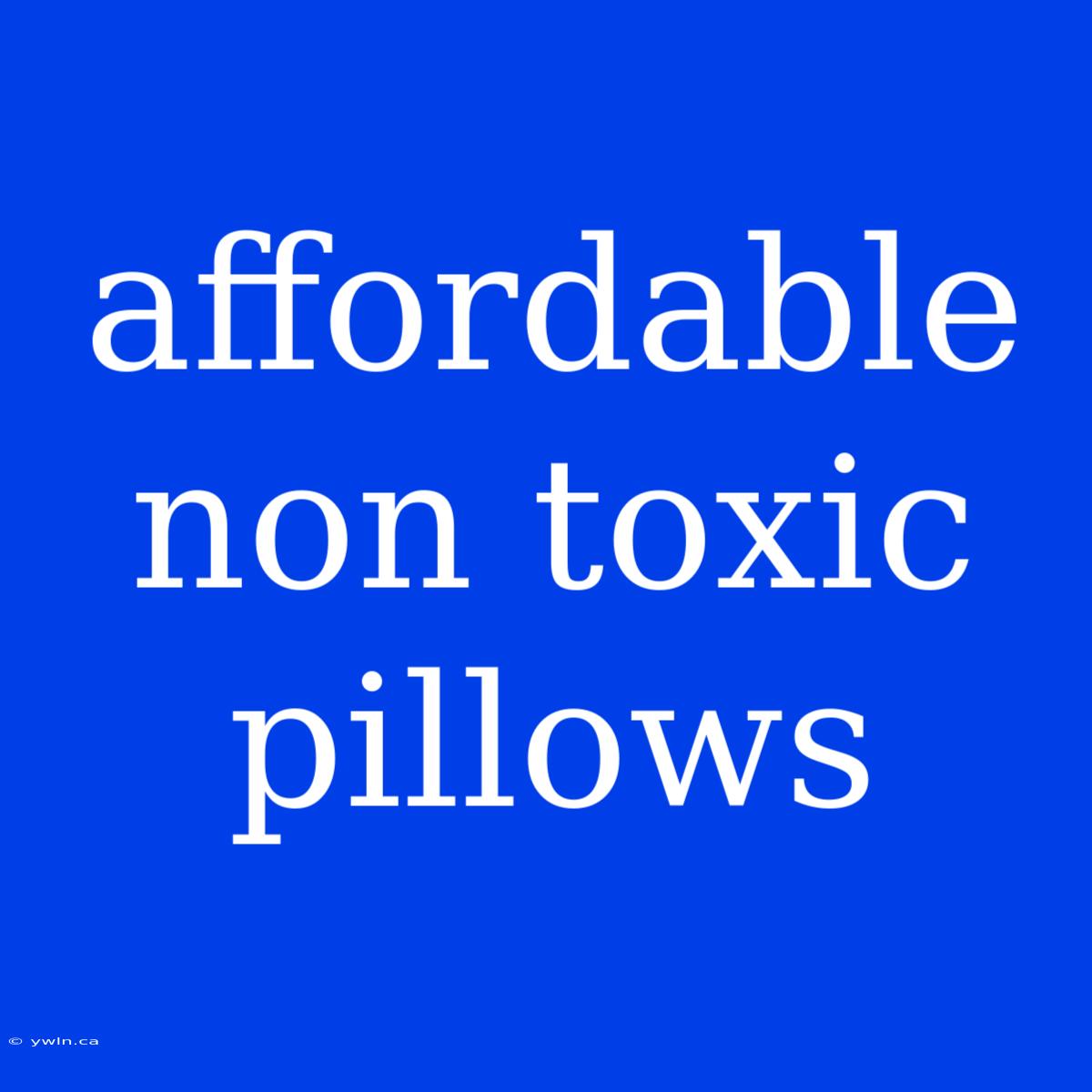 Affordable Non Toxic Pillows