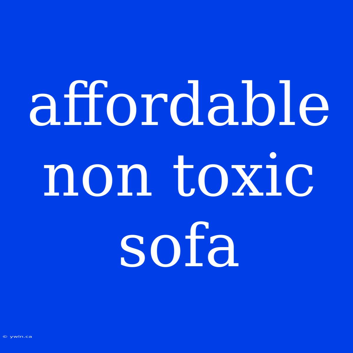 Affordable Non Toxic Sofa