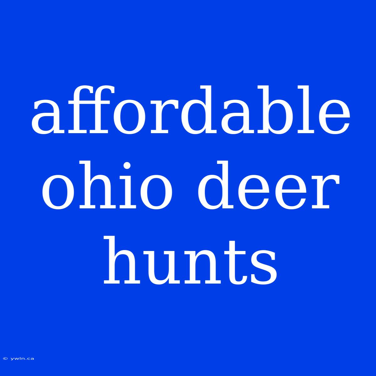 Affordable Ohio Deer Hunts