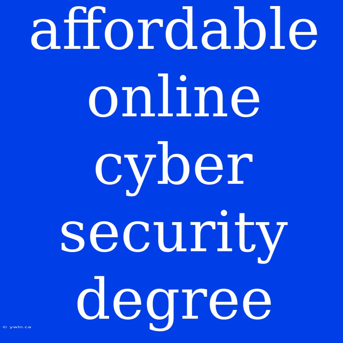 Affordable Online Cyber Security Degree