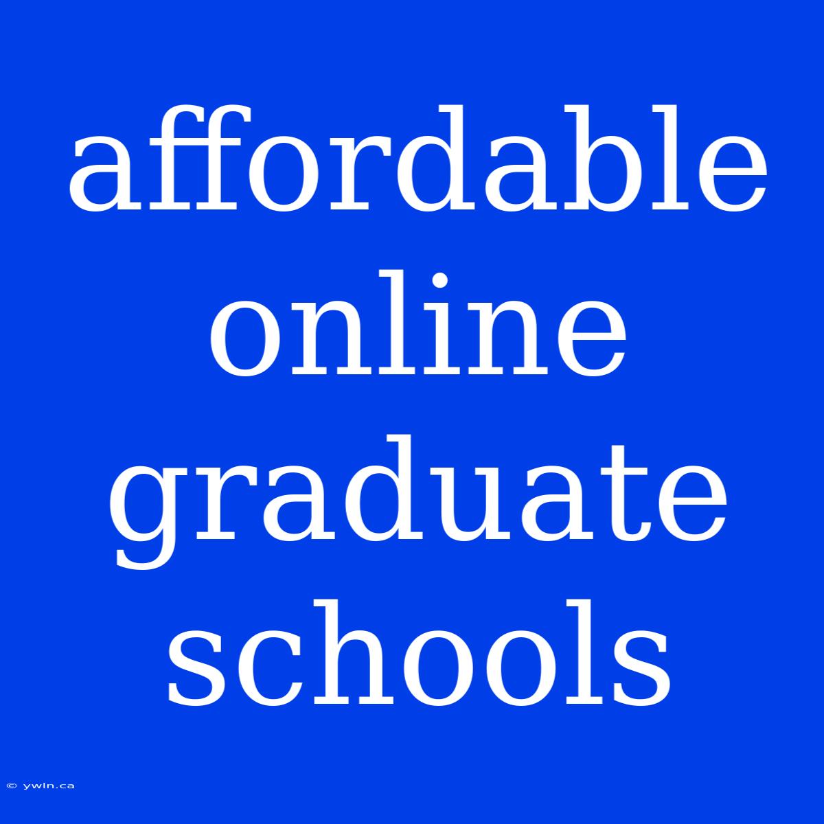 Affordable Online Graduate Schools